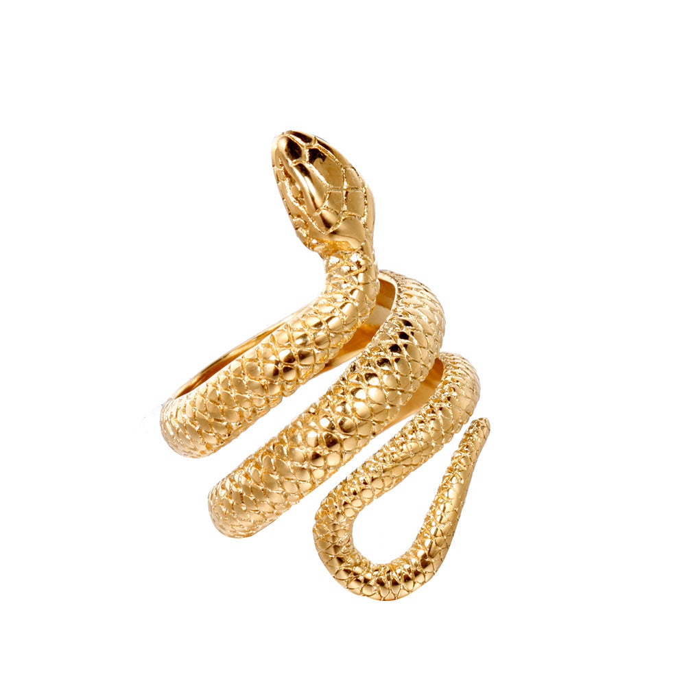 Men's ring "Snake" in titanium steel